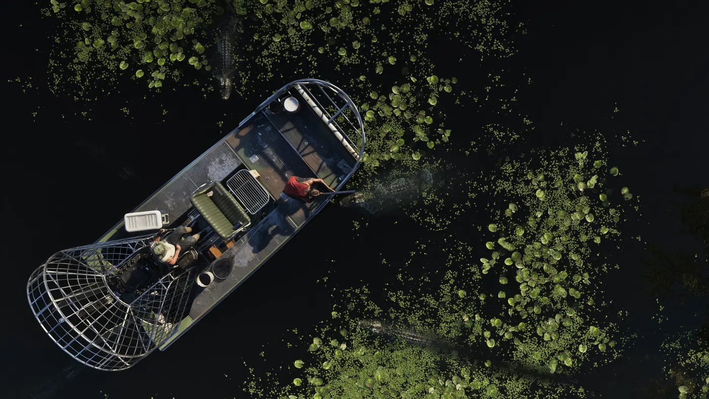 Top-down view of a shrouded-propeller airboat skimming the dark water of a Grassrivers swamp in GTA VI, lily pads and alligator silhouettes visible around the craft